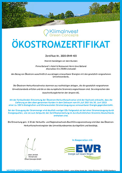 Ökostromzertifikat